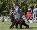 20260925-WC-0163