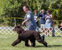 20260925-WC-0164