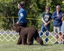20260925-WC-0204