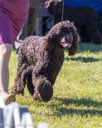 20260925-WC-0101