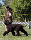 20260925-WC-0017