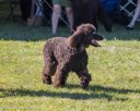 20260925-WC-0049
