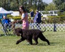 20260925-WC-0060