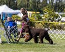 20260925-WC-0075