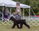 20260926-WC-0133