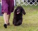 20260926-WC-0140