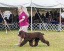 20260926-WC-0146
