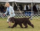 20260926-WC-0038
