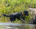 20250726-jhw-0292