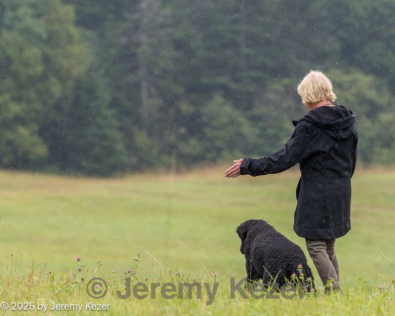 20250727-shl-0143.jpg