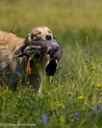 20260725-JHL-0182