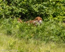 20260725-JHL-0268