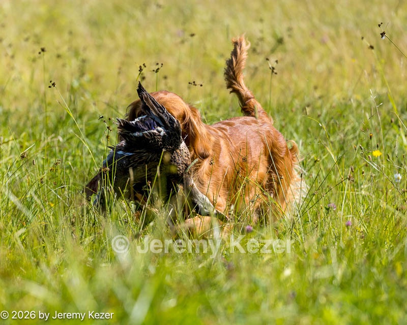 20260725-JHL-0267.jpg
