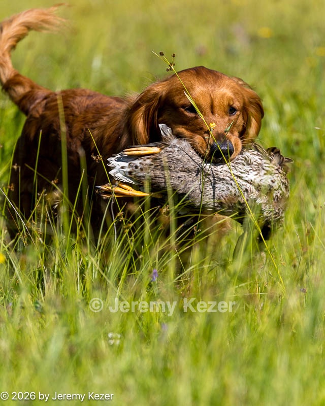 20260725-JHL-0275.jpg