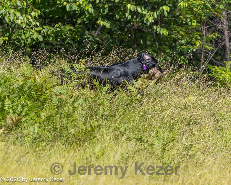 20260725-jhl-0117.jpg