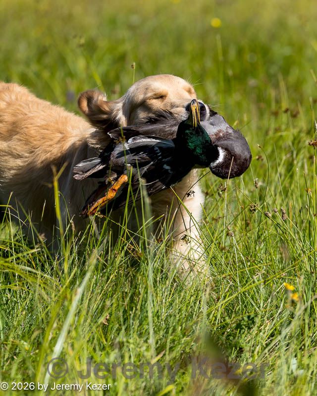20260725-jhl-0186.jpg
