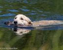 20260725-JHW-0105