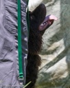 20260725-JHW-0119