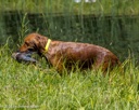 20260725-JHW-0228