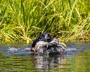 20260725-JHW-0287