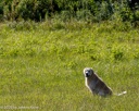 20260726-SHL-0075