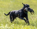 20260726-SHL-0145