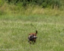 20260726-SHL-0179