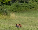 20260726-SHL-0198