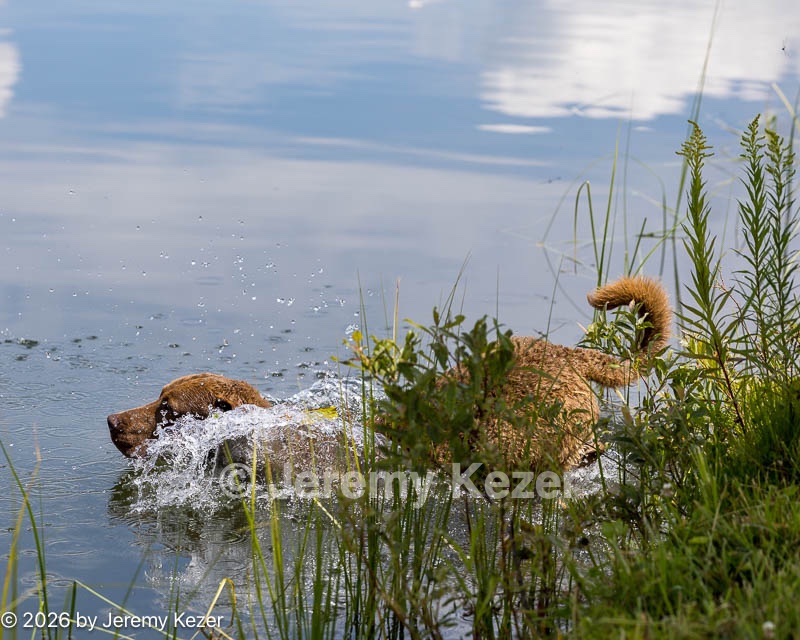20260726-SHW-0141.jpg