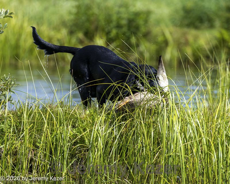 20260726-shw-0018.jpg