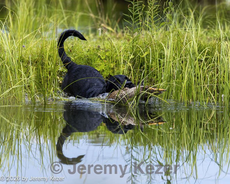 20260726-shw-0253.jpg