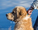 20261003-WCW-0144