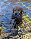 20261003-WCW-0152