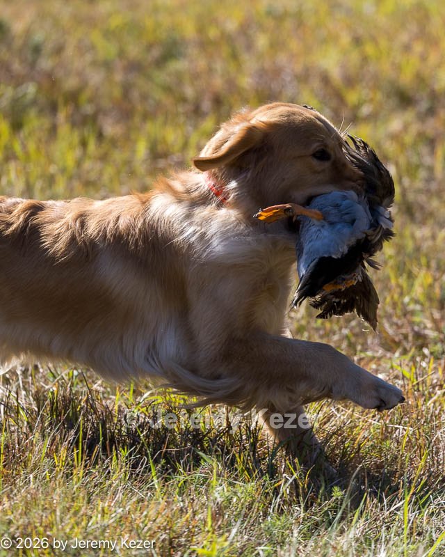 20261003-WCL-0153.jpg
