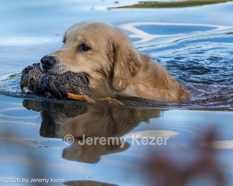 20261003-WCW-0141.jpg