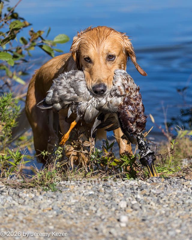 20261003-WCW-0062.jpg