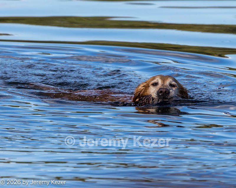 20261003-WCW-0175.jpg