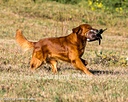 20261003-WCXL-0007