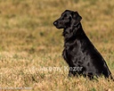 20261003-WCXL-0040