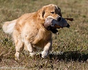 20261003-WCXL-0068