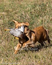 20261003-WCXL-0125