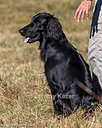20261003-WCXL-0137