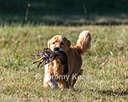 20261003-WCXL-0166