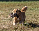 20261003-WCXL-0168