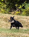 20261003-WCXL-0174