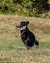 20261003-WCXL-0176