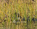 20261003-WCXW-0040