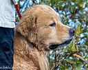 20261003-WCXW-0057