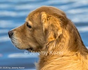 20261003-WCXW-0124