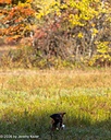 20261010-JHL-0015